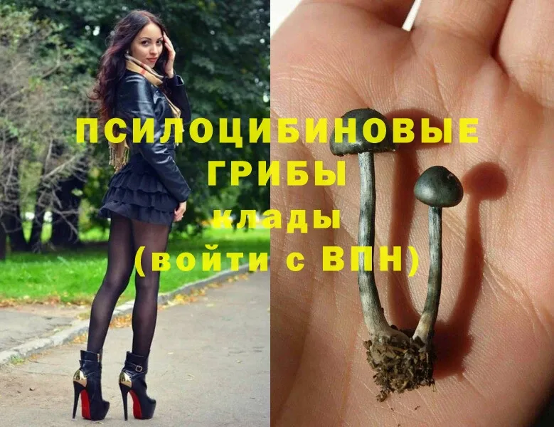 Галлюциногенные грибы Magic Shrooms  купить   Аргун 